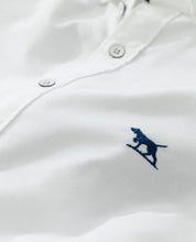 Load image into Gallery viewer, Rodd And Gunn Sports Fit Oxford
