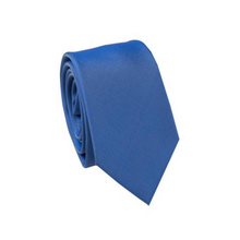 Load image into Gallery viewer, Carlo Visconti Micro Solid Tie
