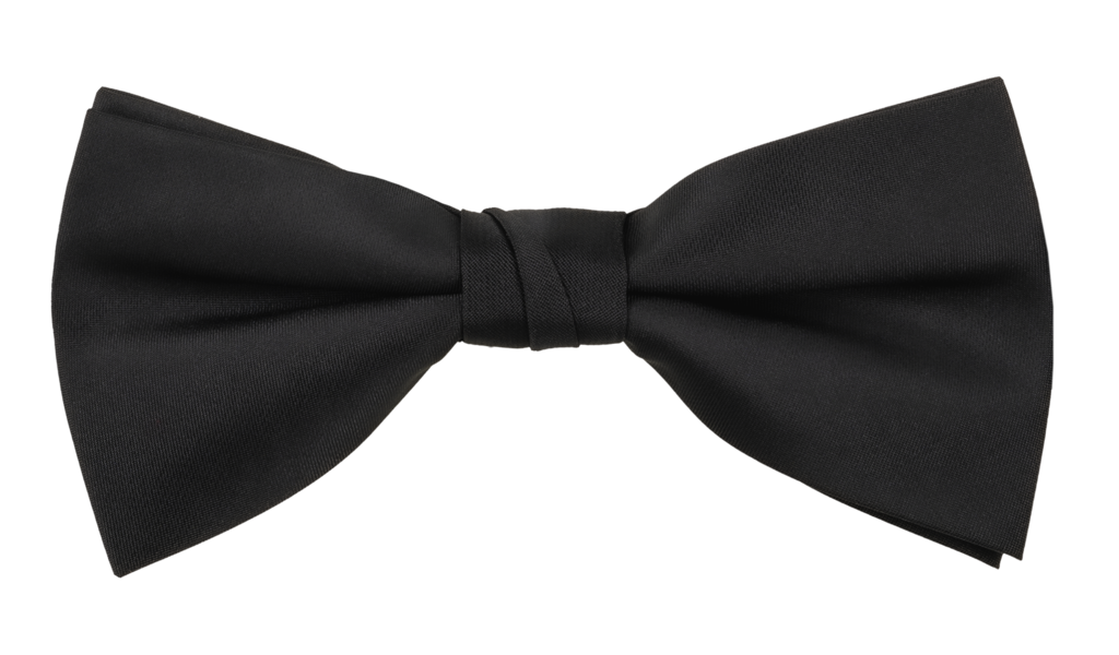 Carlo Visconti Bow Tie Micro Solid