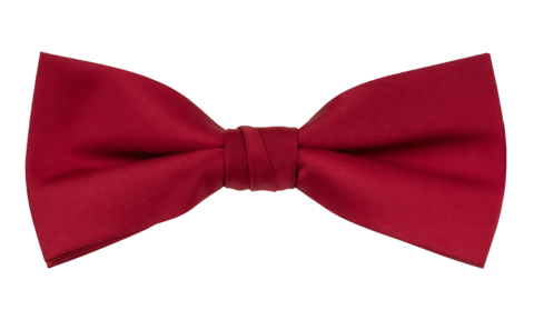 Carlo Visconti Bow Tie Micro Solid